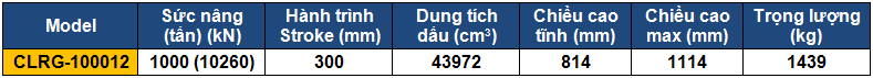 ts ky thuat kich 2 chieu 1000 tấn 300 mm